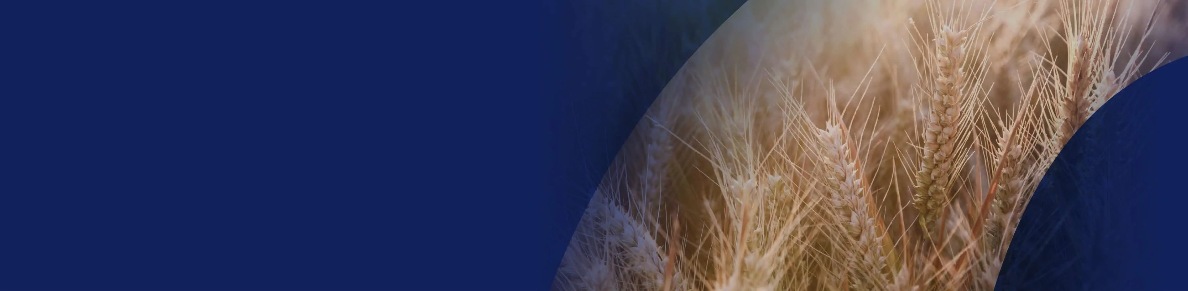 FXCA Commodities Hero Desktop